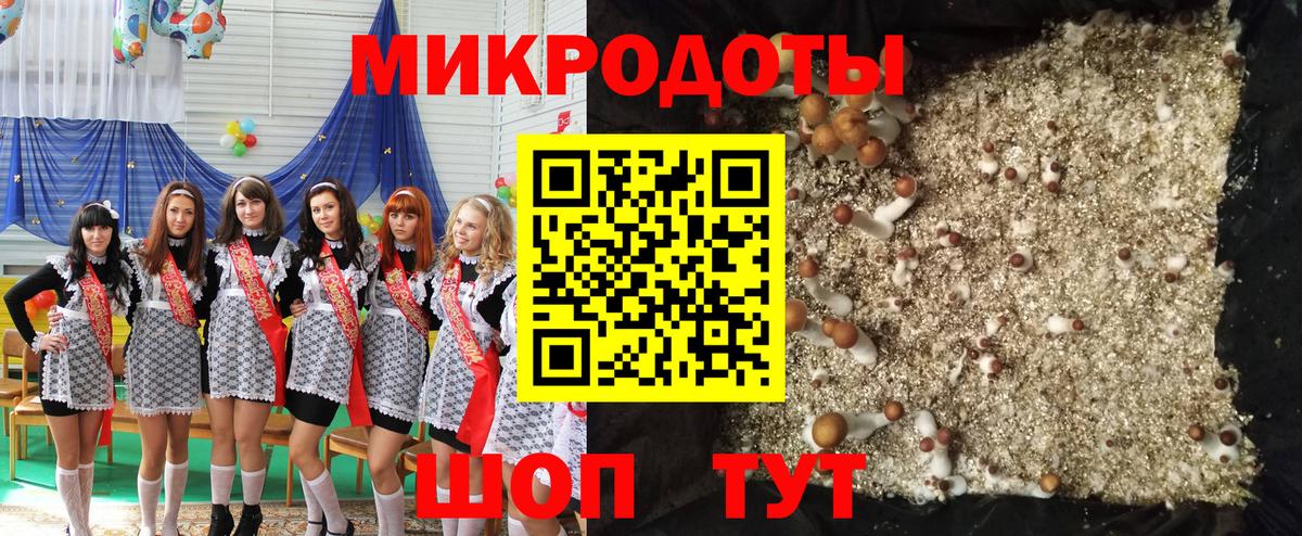 Псилоцибиновые грибы мицелий Дедовск